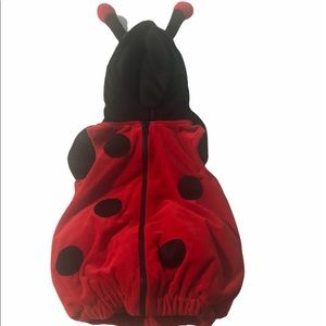 Ladybug costume 12 Months